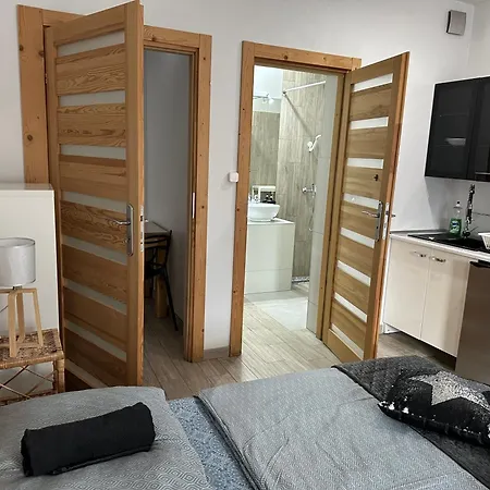 Pokoje z prysznicem 2 3 4 osobowe z łazienką lub Apartament z wanną z hydromasażem na wyłączność-3